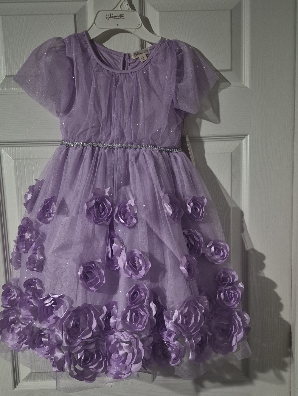 Silhouette Lilac Rose Appliqué Tulle Party Dress for Kids